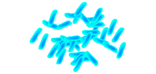 Lactobacillus plantarum