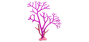 Marine Polysaccharides